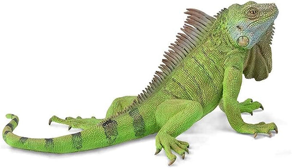 Collecta Green Iguana