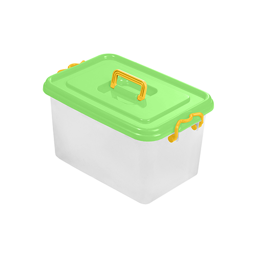 Picnic Box 16 liter Clear And Light green