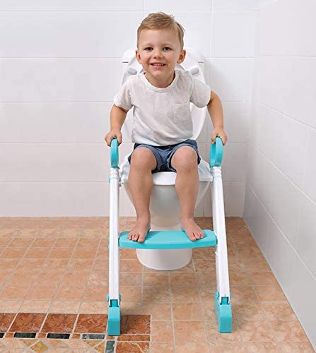 Dreambaby Step - Up Toilet Topper - Aqua and White