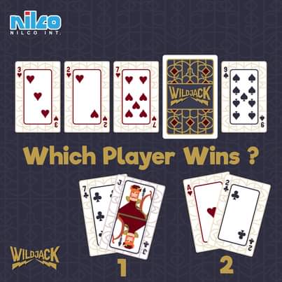 Nilco Wild Jack Board Game