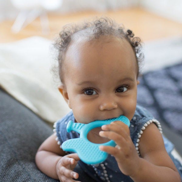 Dr.Brown's Flexees Friends Elephant Teether | Blue